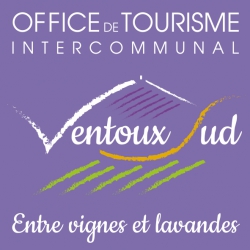 Wifi : Logo Office de Tourisme de Villes Sur Auzon